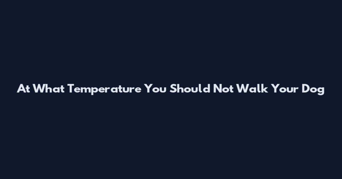At What Temperature You Should Not Walk Your Dog