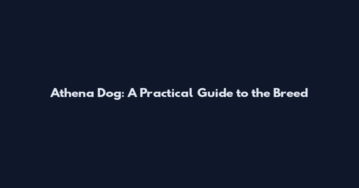 Athena Dog: A Practical Guide to the Breed