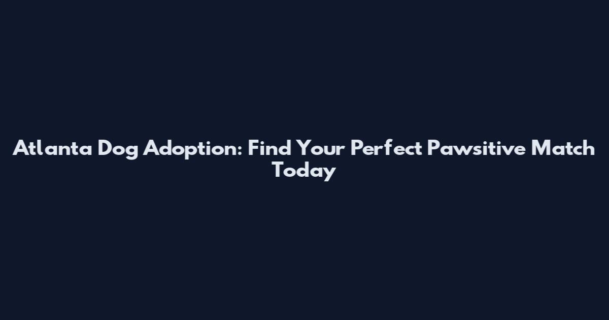 Atlanta Dog Adoption: Find Your Perfect Pawsitive Match Today