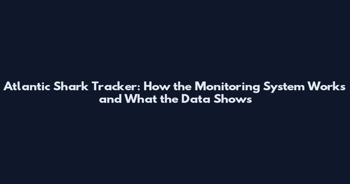 Atlantic Shark Tracker: How the Monitoring System Works and What the Data Shows