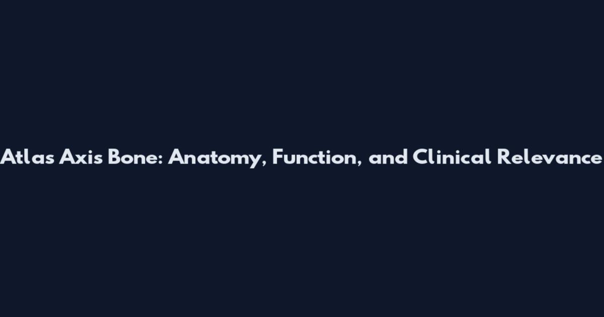 Atlas Axis Bone: Anatomy, Function, and Clinical Relevance