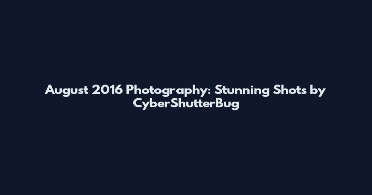 August 2016 Photography: Stunning Shots by CyberShutterBug