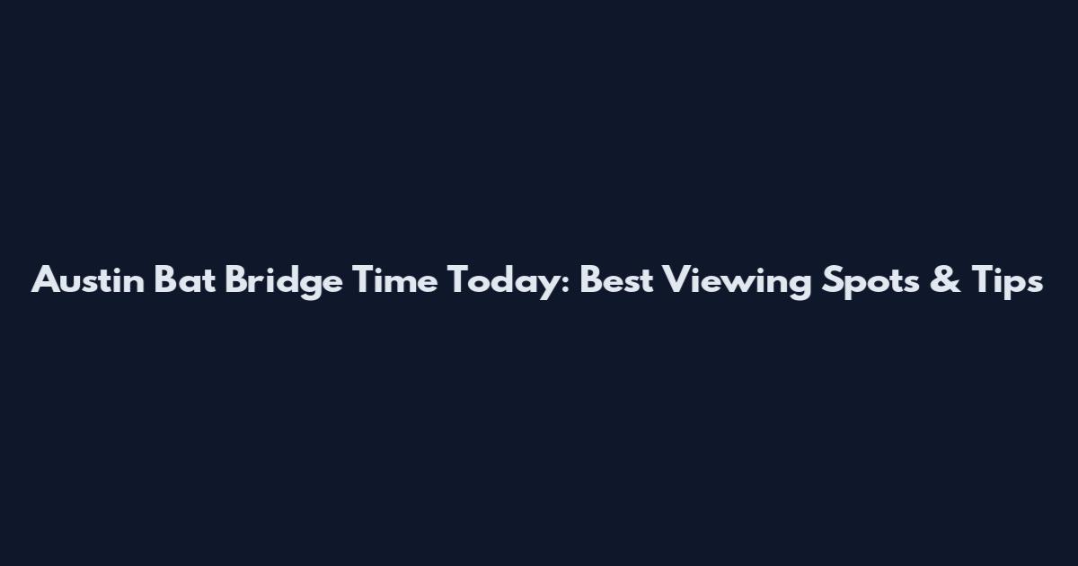 Austin Bat Bridge Time Today: Best Viewing Spots & Tips