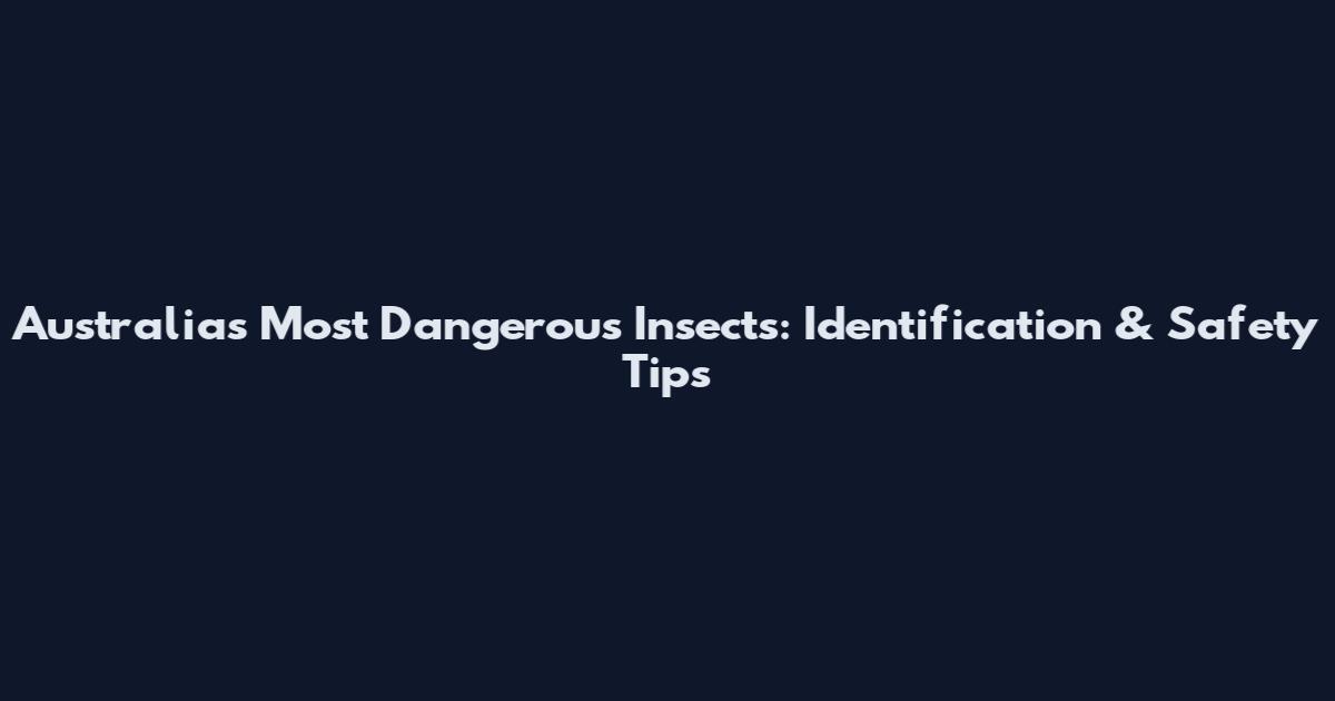 Australia's Most Dangerous Insects: Identification & Safety Tips
