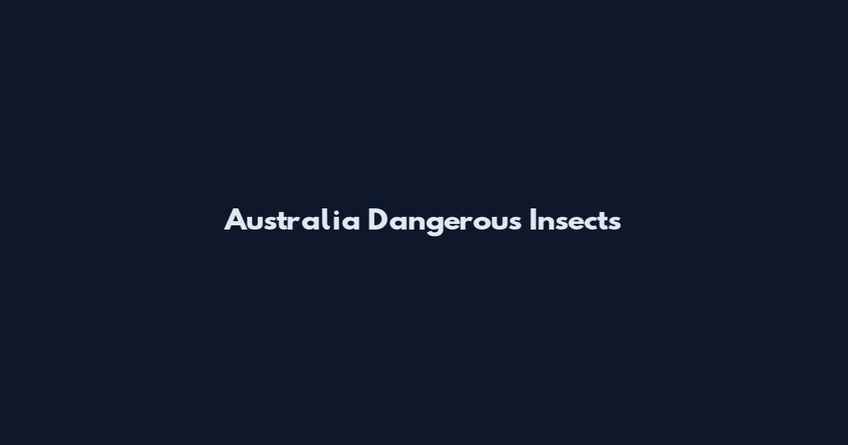 Australia Dangerous Insects
