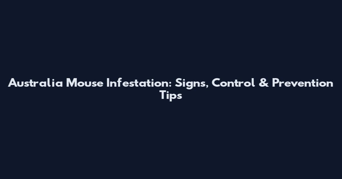 Australia Mouse Infestation: Signs, Control & Prevention Tips