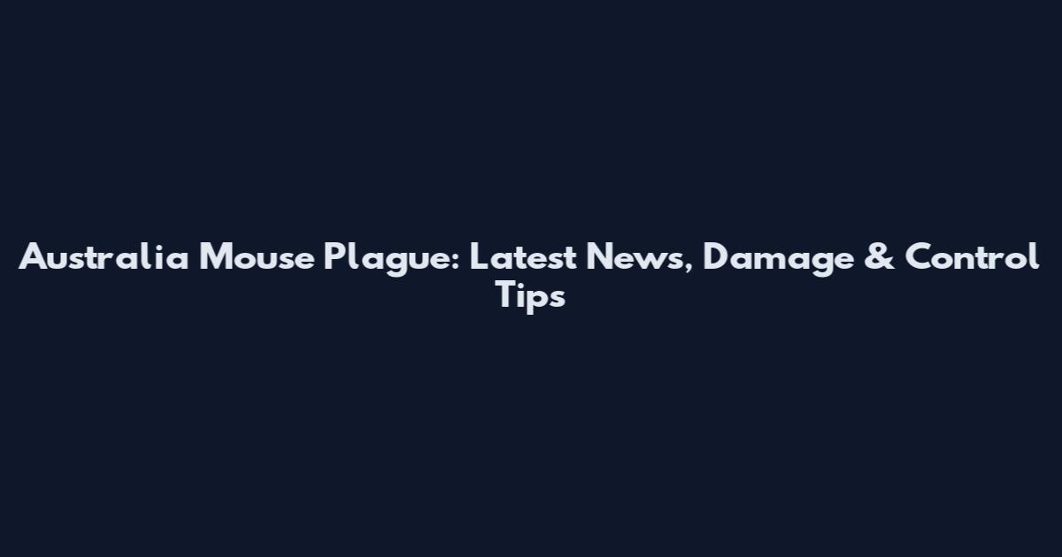 Australia Mouse Plague: Latest News, Damage & Control Tips