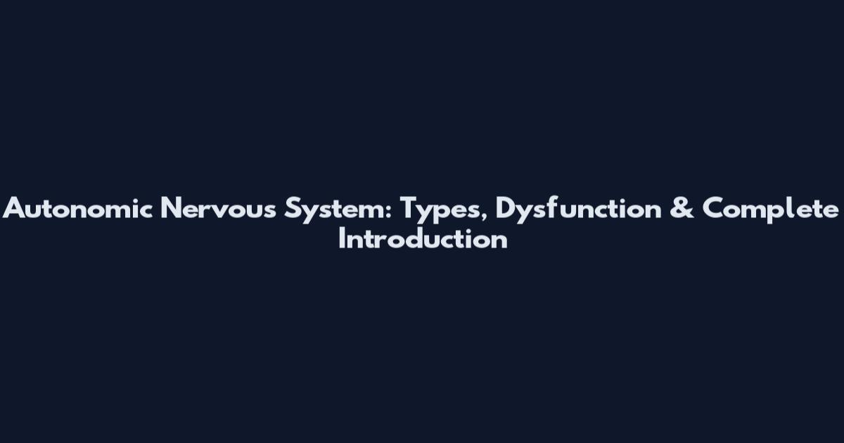 Autonomic Nervous System: Types, Dysfunction & Complete Introduction