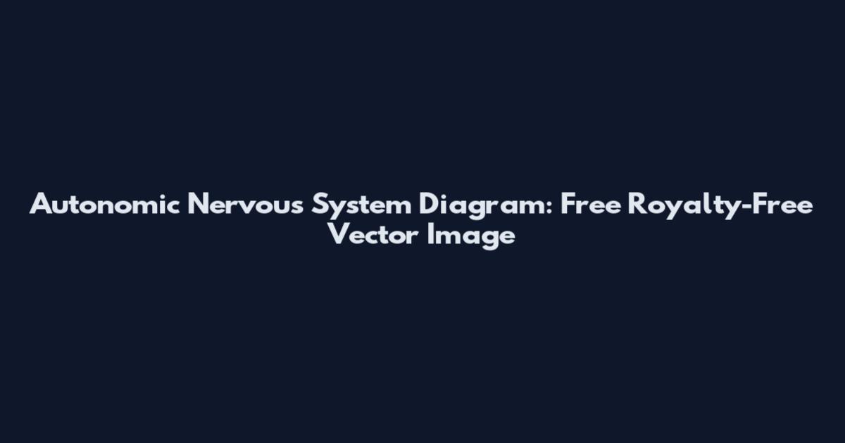 Autonomic Nervous System Diagram: Free Royalty-Free Vector Image