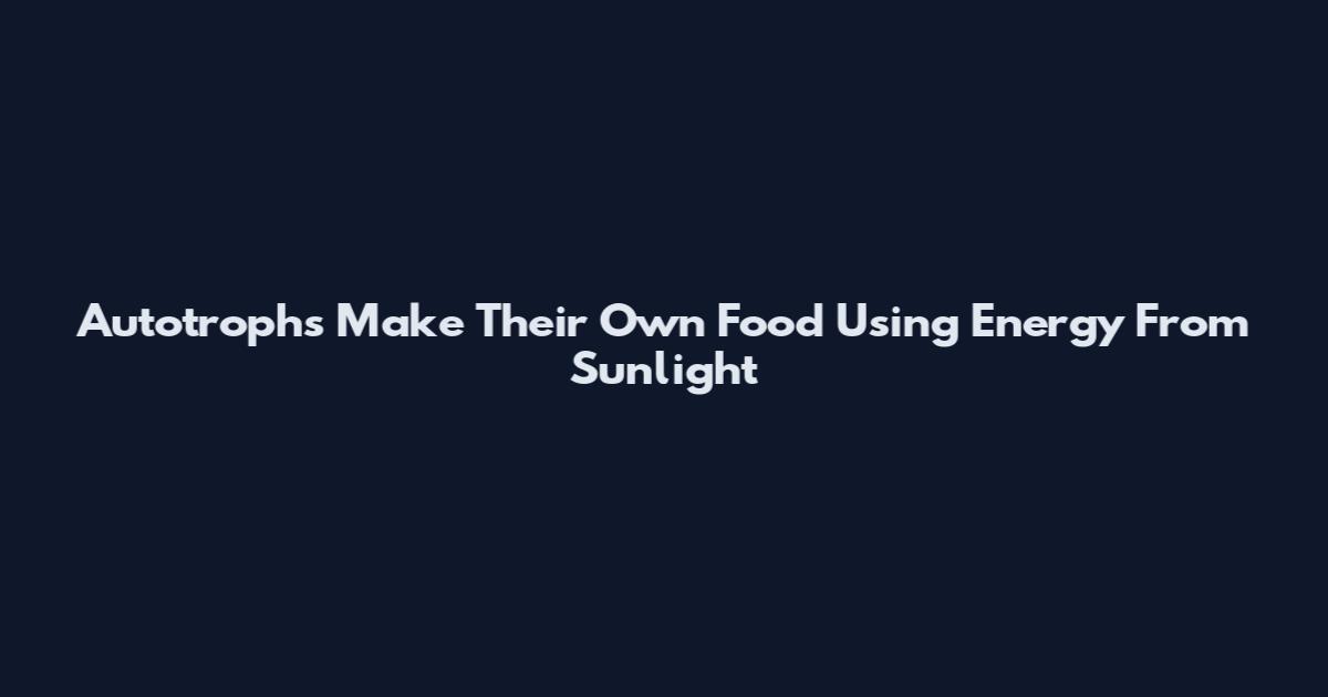 Autotrophs Make Their Own Food Using Energy From Sunlight