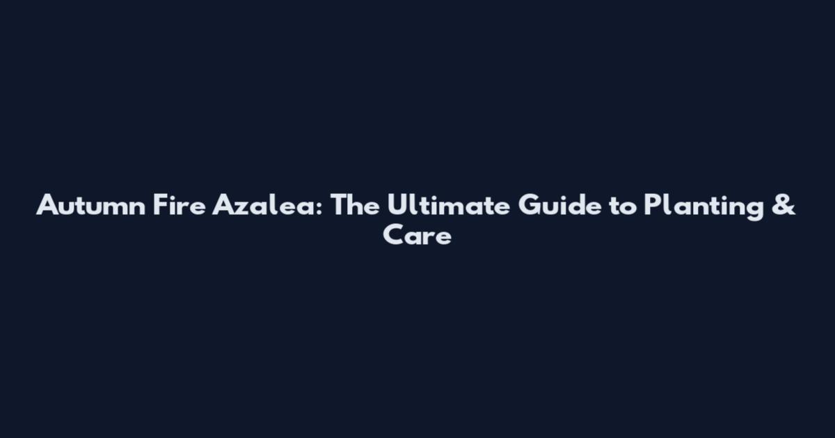Autumn Fire Azalea: The Ultimate Guide to Planting & Care