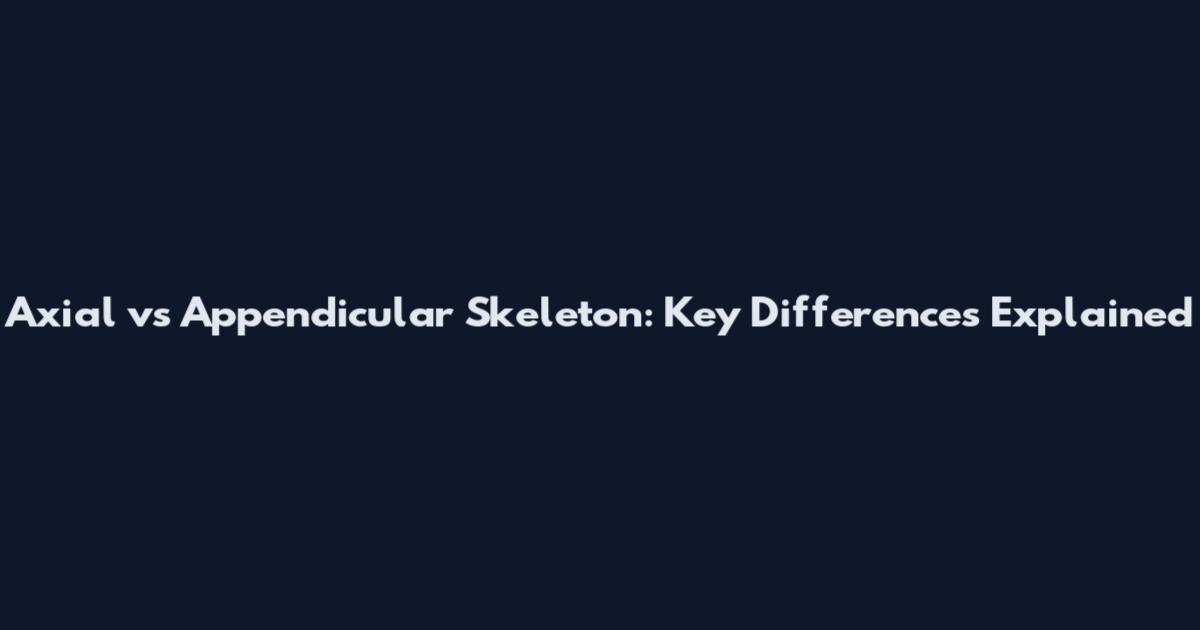 Axial vs Appendicular Skeleton: Key Differences Explained