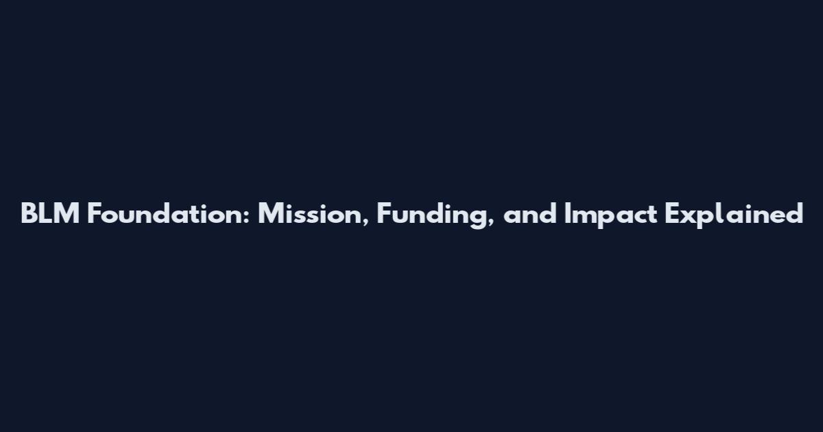 BLM Foundation: Mission, Funding, and Impact Explained
