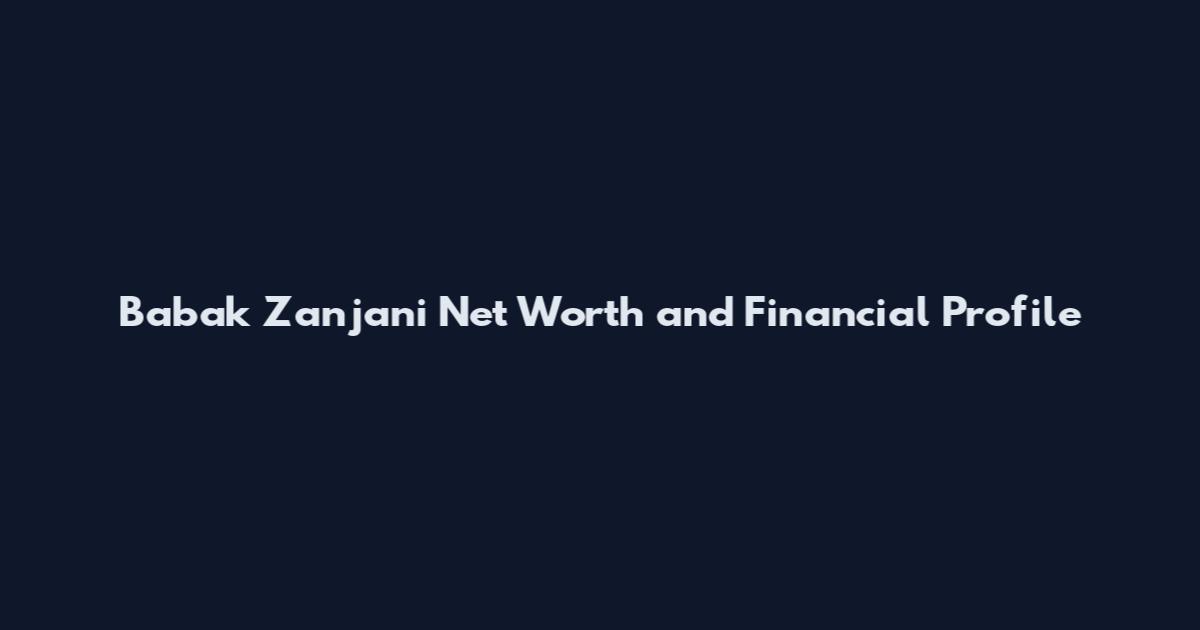 Babak Zanjani Net Worth and Financial Profile