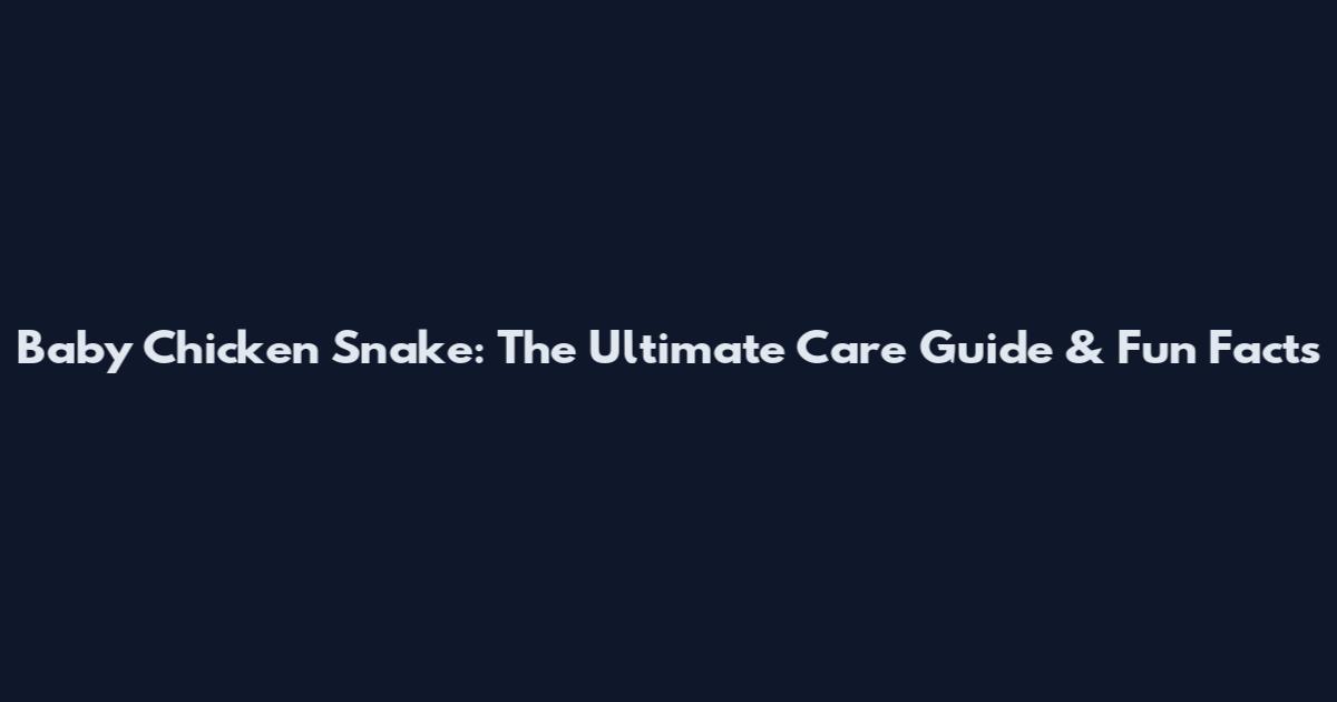 Baby Chicken Snake: The Ultimate Care Guide & Fun Facts