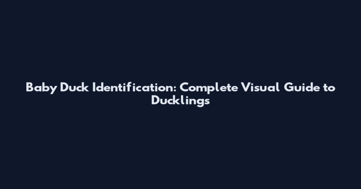 Baby Duck Identification: Complete Visual Guide to Ducklings