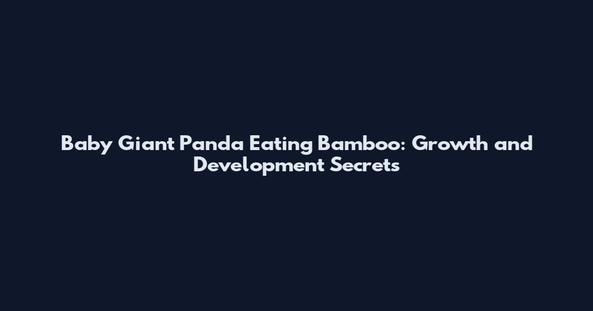 Baby Giant Panda Eating Bamboo: Growth and Development Secrets