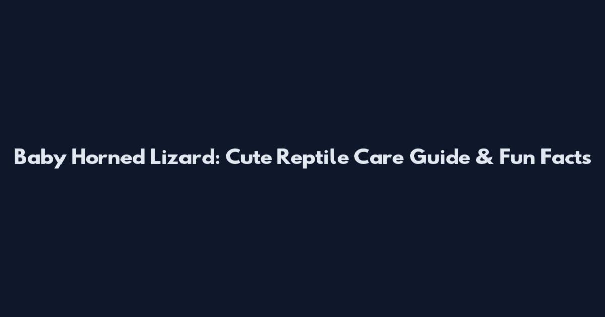 Baby Horned Lizard: Cute Reptile Care Guide & Fun Facts