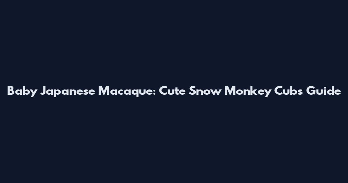 Baby Japanese Macaque: Cute Snow Monkey Cubs Guide