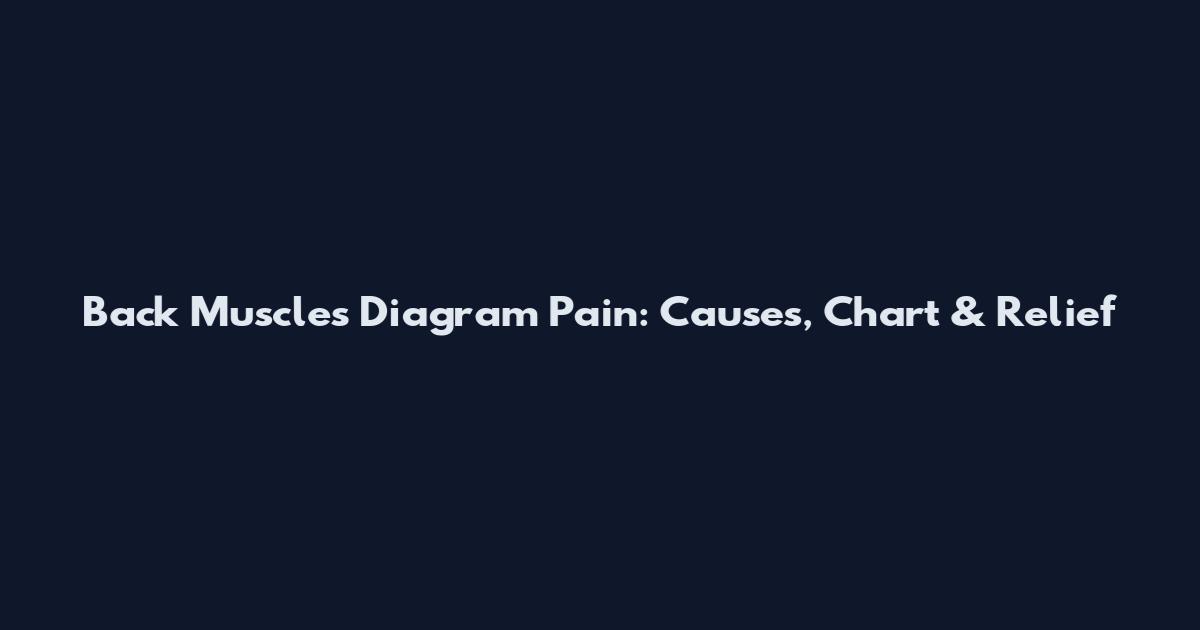 Back Muscles Diagram Pain: Causes, Chart & Relief