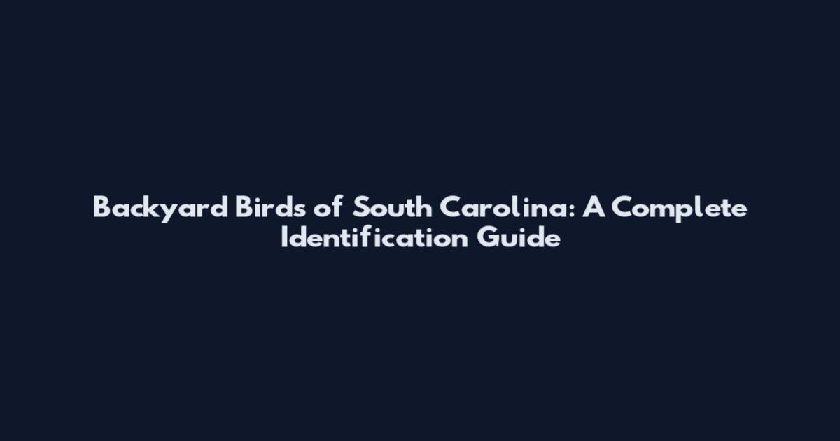 Backyard Birds of South Carolina: A Complete Identification Guide