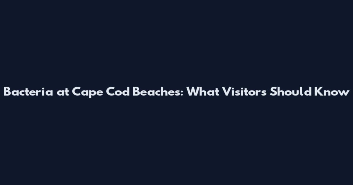 Bacteria at Cape Cod Beaches: What Visitors Should Know