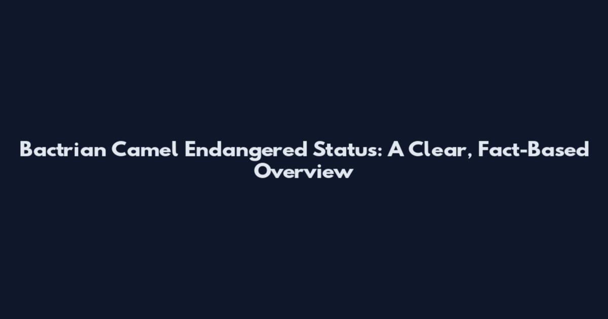 Bactrian Camel Endangered Status: A Clear, Fact-Based Overview
