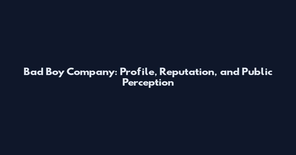 Bad Boy Company: Profile, Reputation, and Public Perception