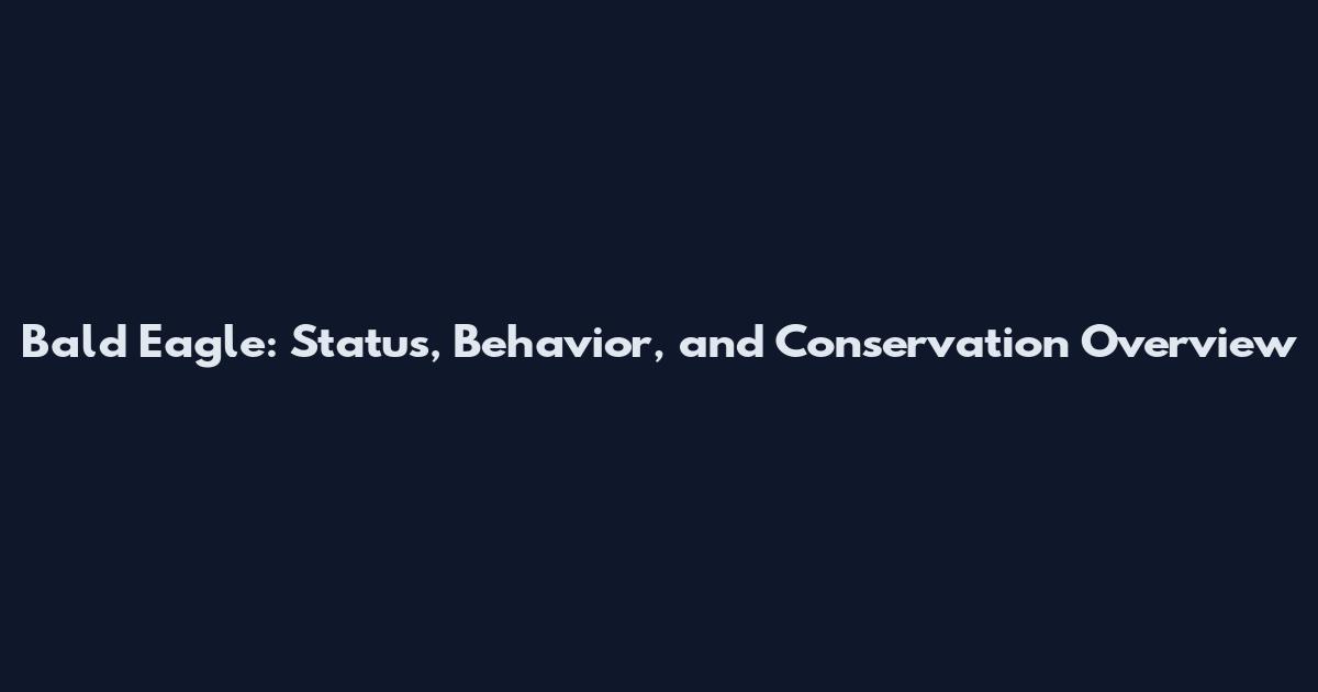 Bald Eagle: Status, Behavior, and Conservation Overview