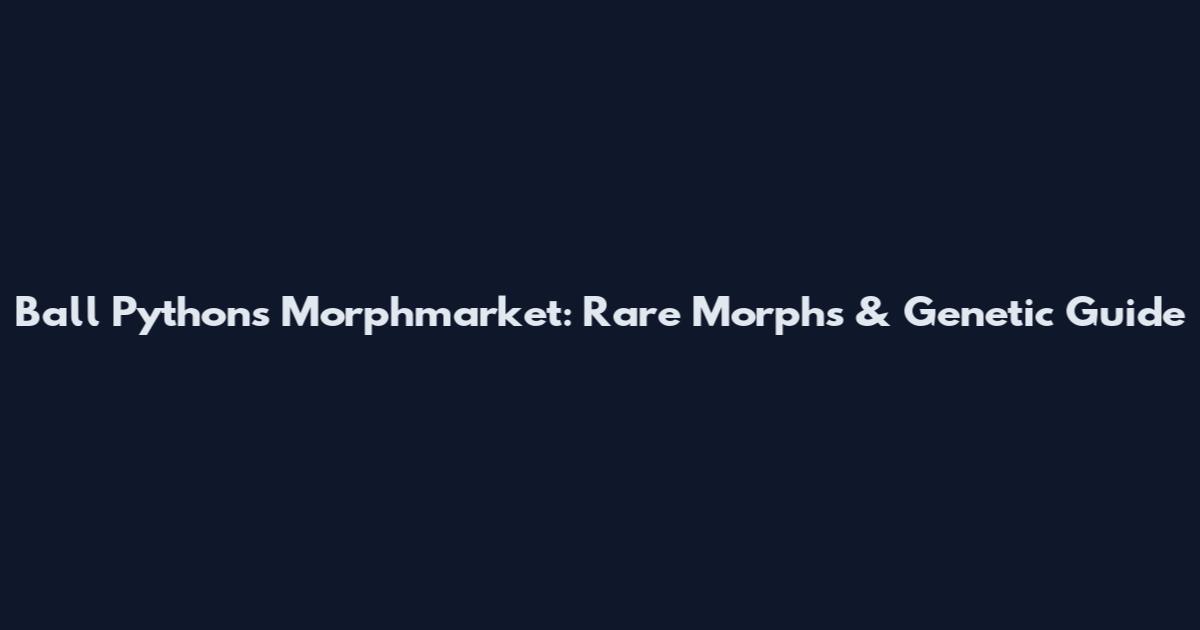 Ball Pythons Morphmarket: Rare Morphs & Genetic Guide