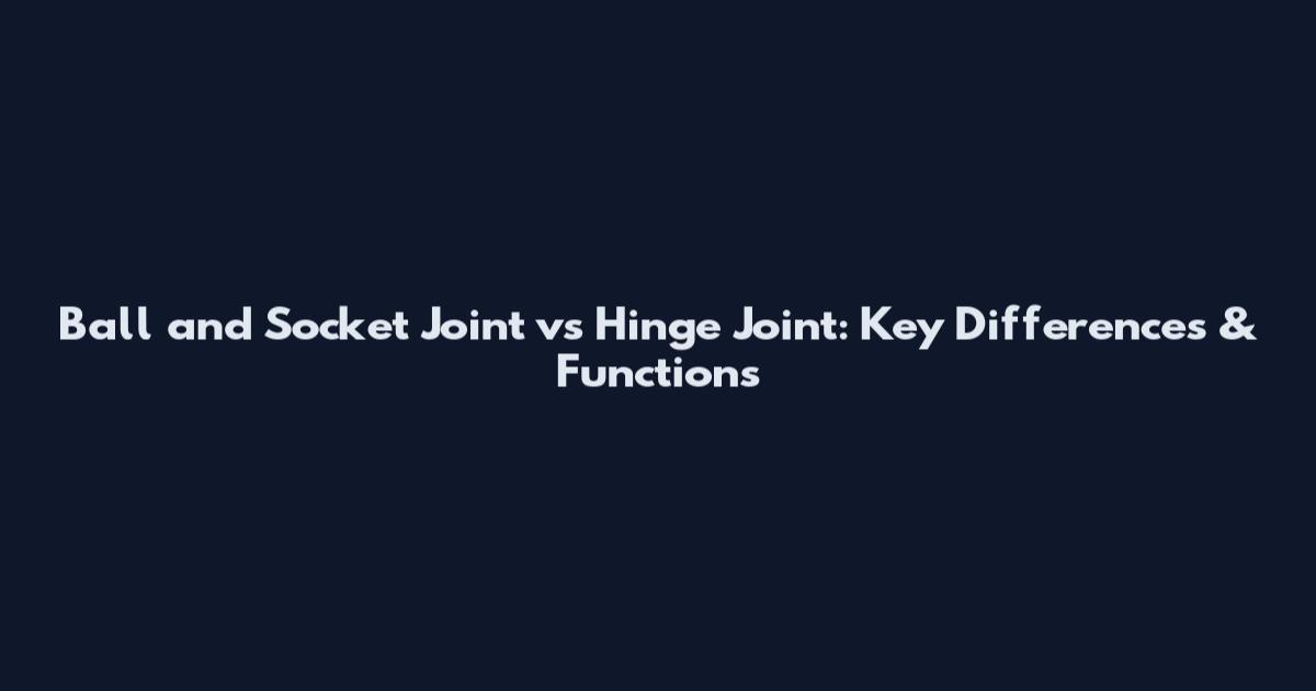 Ball and Socket Joint vs Hinge Joint: Key Differences & Functions