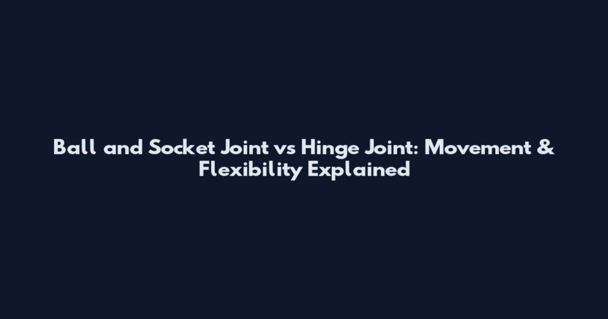 Ball and Socket Joint vs Hinge Joint: Movement & Flexibility Explained