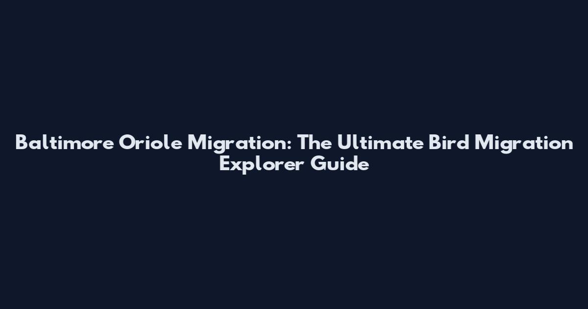 Baltimore Oriole Migration: The Ultimate Bird Migration Explorer Guide