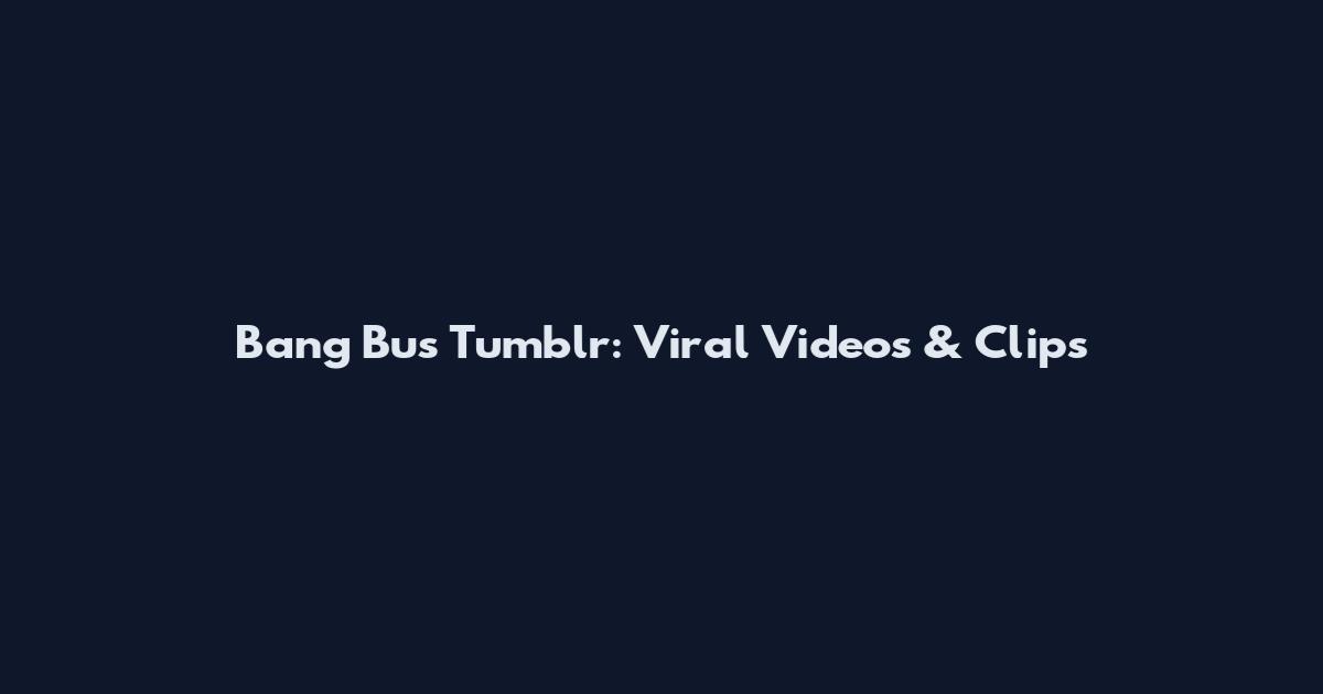 Bang Bus Tumblr: Viral Videos & Clips
