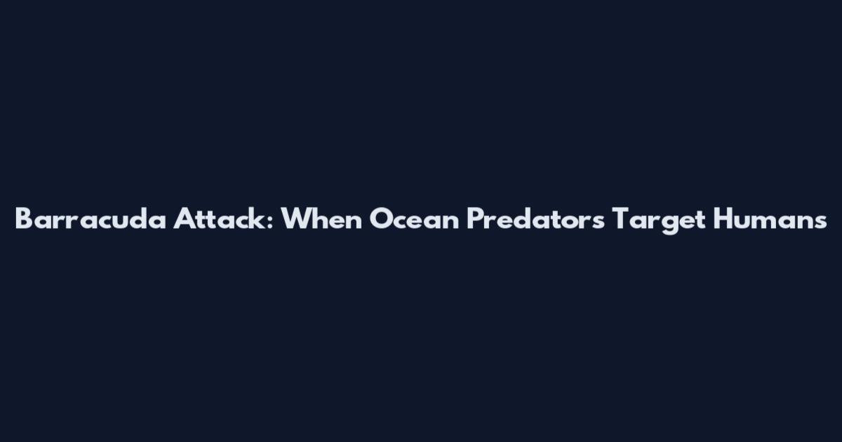 Barracuda Attack: When Ocean Predators Target Humans