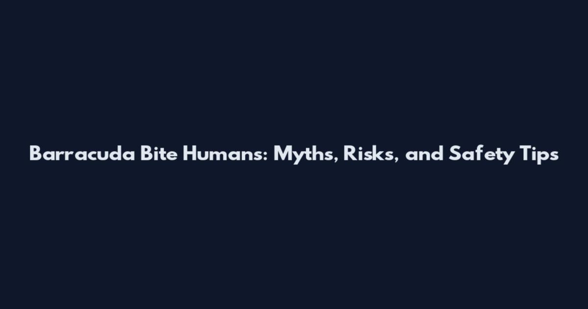 Barracuda Bite Humans: Myths, Risks, and Safety Tips