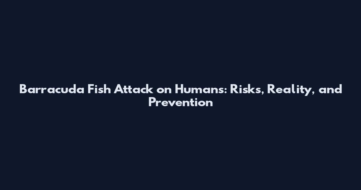 Barracuda Fish Attack on Humans: Risks, Reality, and Prevention