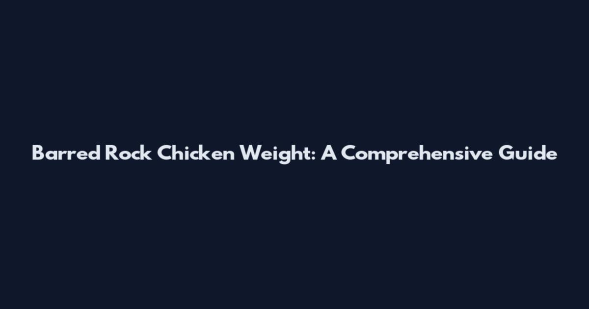 Barred Rock Chicken Weight: A Comprehensive Guide