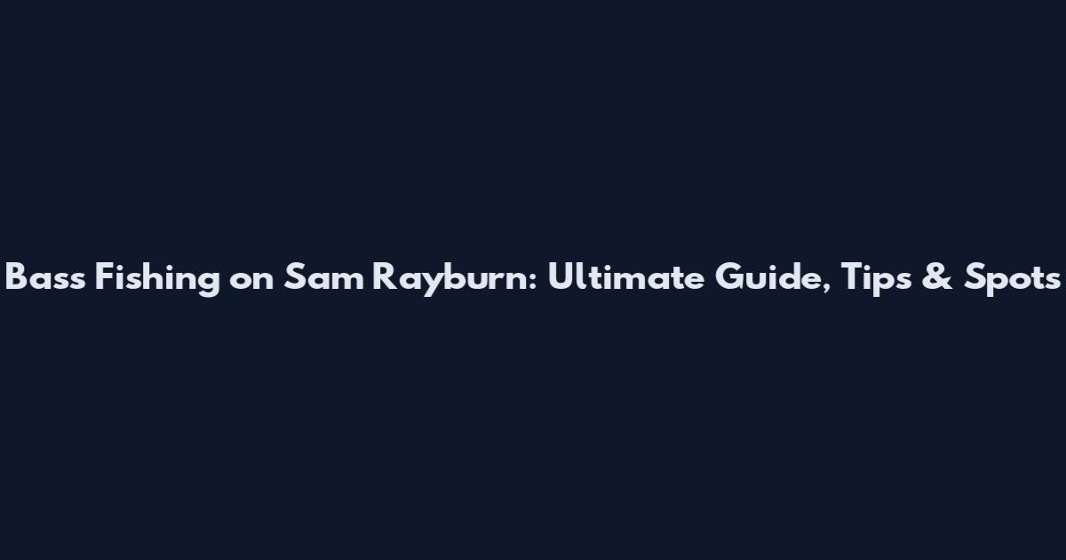 Bass Fishing on Sam Rayburn: Ultimate Guide, Tips & Spots