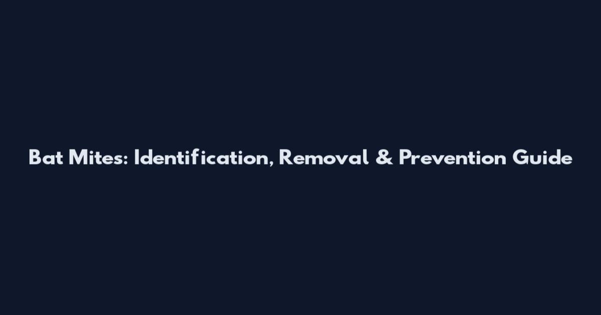 Bat Mites: Identification, Removal & Prevention Guide