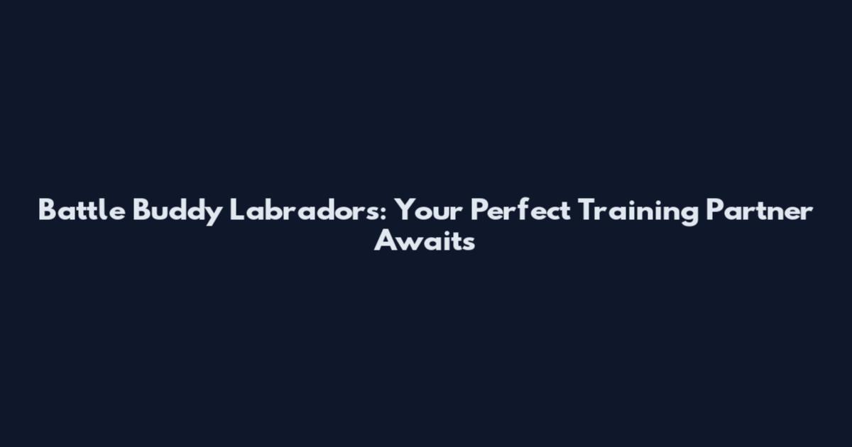 Battle Buddy Labradors: Your Perfect Training Partner Awaits