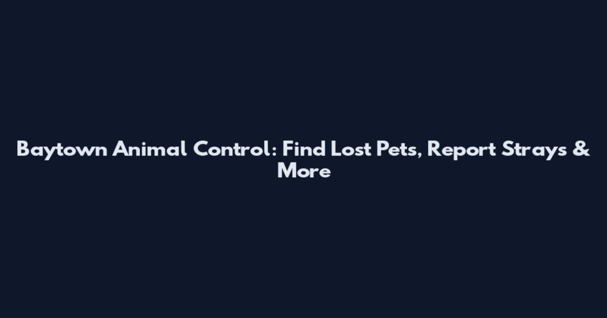 Baytown Animal Control: Find Lost Pets, Report Strays & More