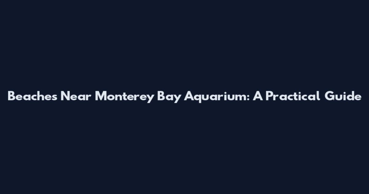 Beaches Near Monterey Bay Aquarium: A Practical Guide