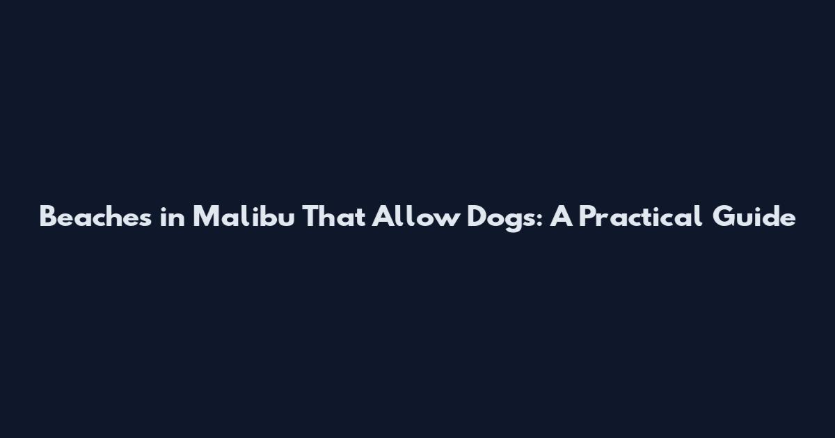 Beaches in Malibu That Allow Dogs: A Practical Guide