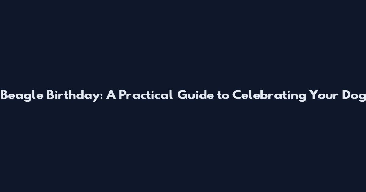 Beagle Birthday: A Practical Guide to Celebrating Your Dog