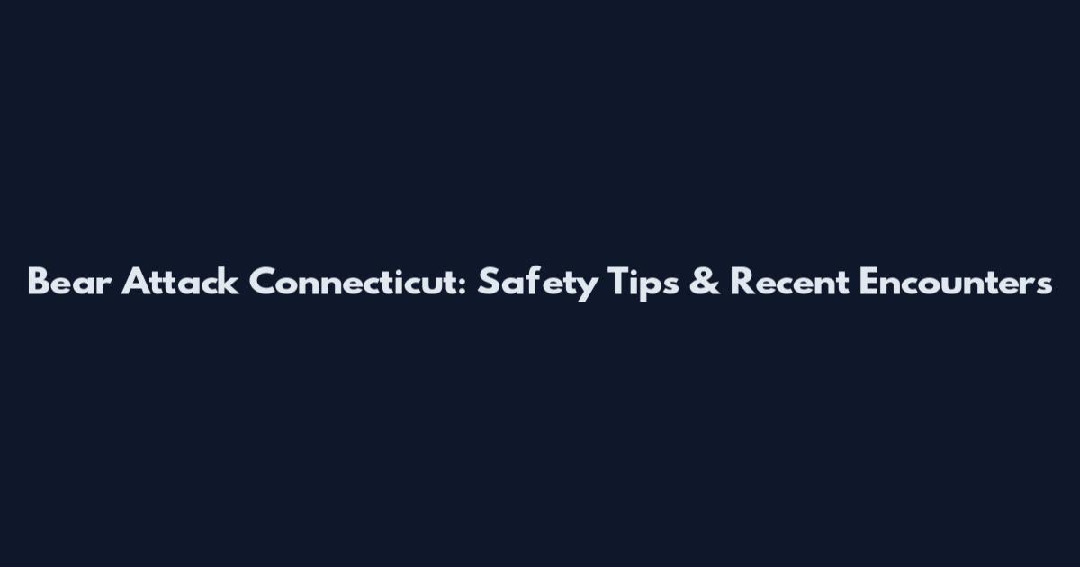 Bear Attack Connecticut: Safety Tips & Recent Encounters