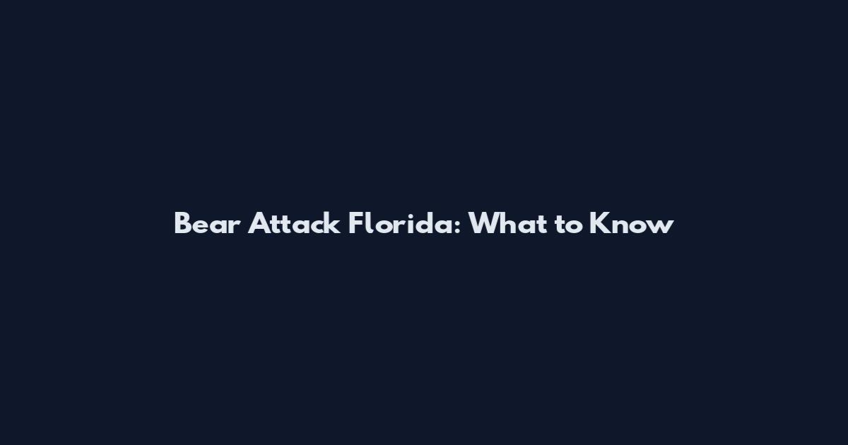 Bear Attack Florida: What to Know