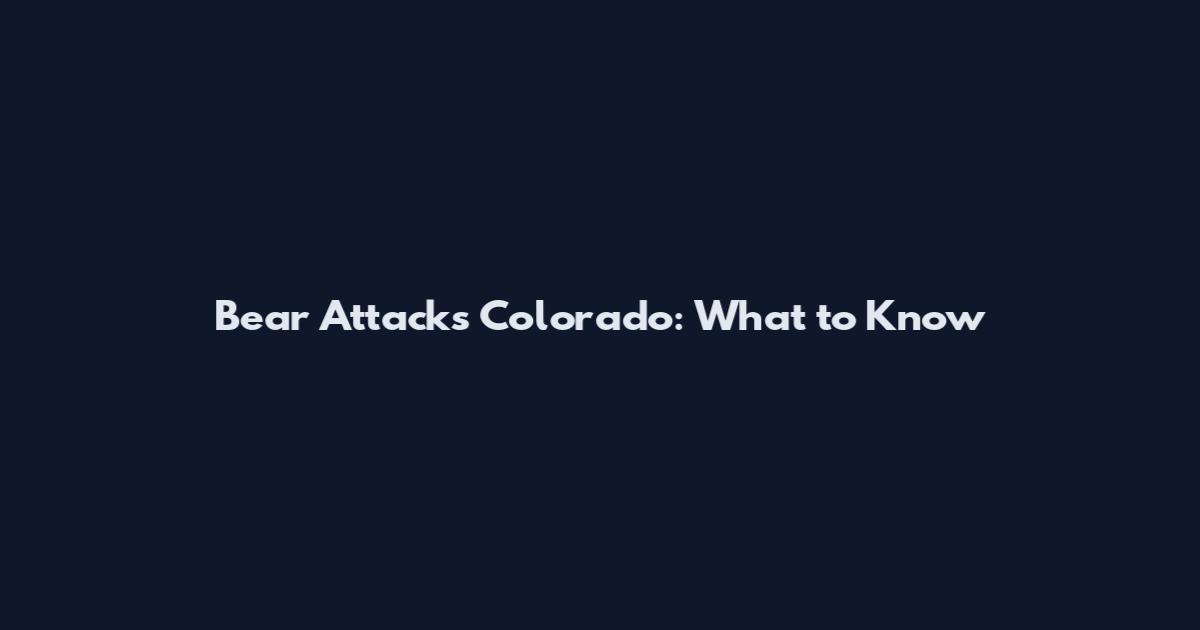 Bear Attacks Colorado: What to Know