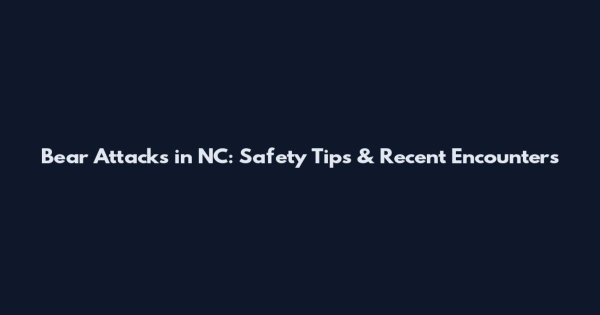Bear Attacks in NC: Safety Tips & Recent Encounters
