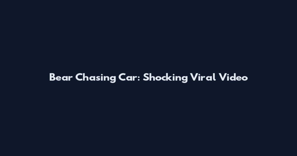 Bear Chasing Car: Shocking Viral Video